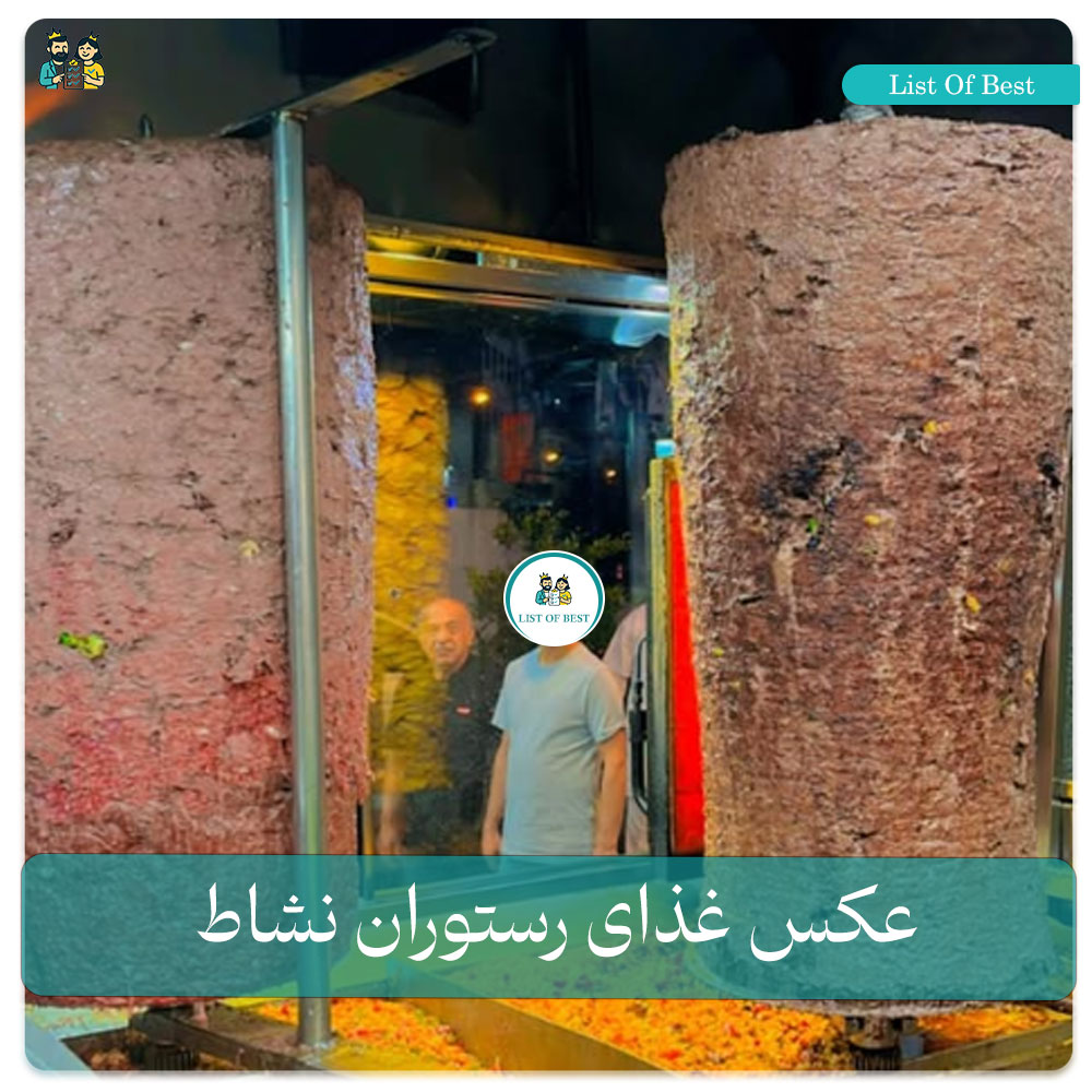 عکس غذای دونر رستوران نشاط